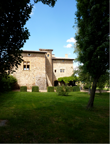 Chateau de Pravins Blacé