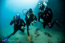 Be Free to Dive - Villeneuve-Loubet