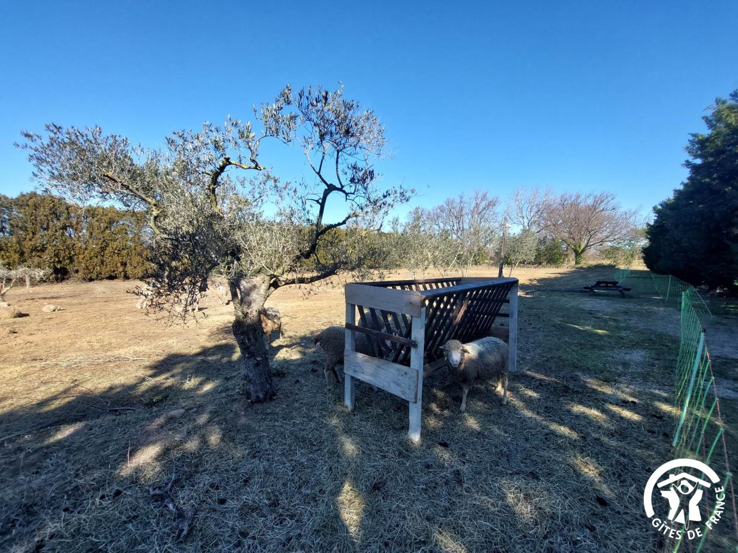 Mas Petite Provence - Lou Pastre, Aureille - photo 15