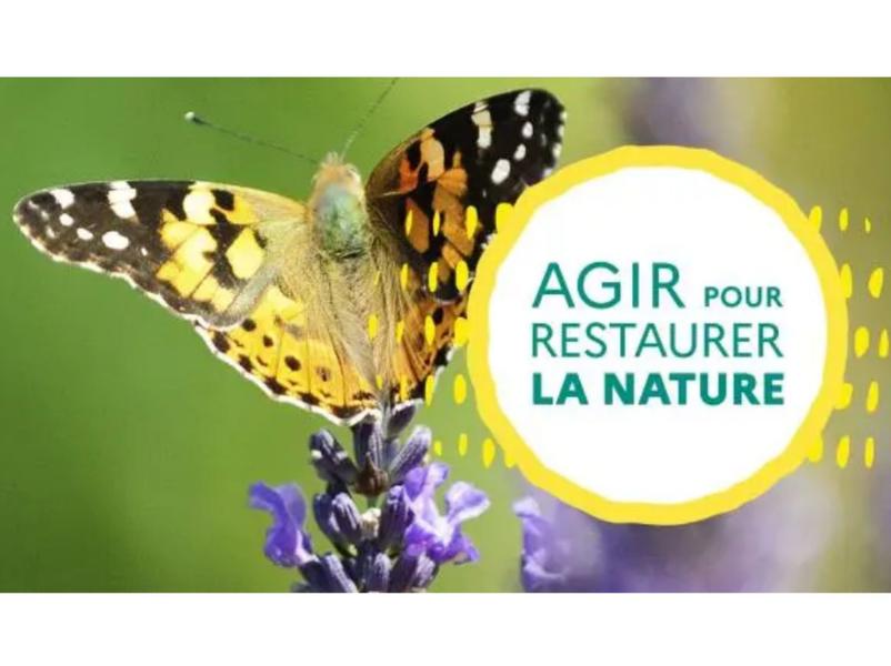 atelier restauration