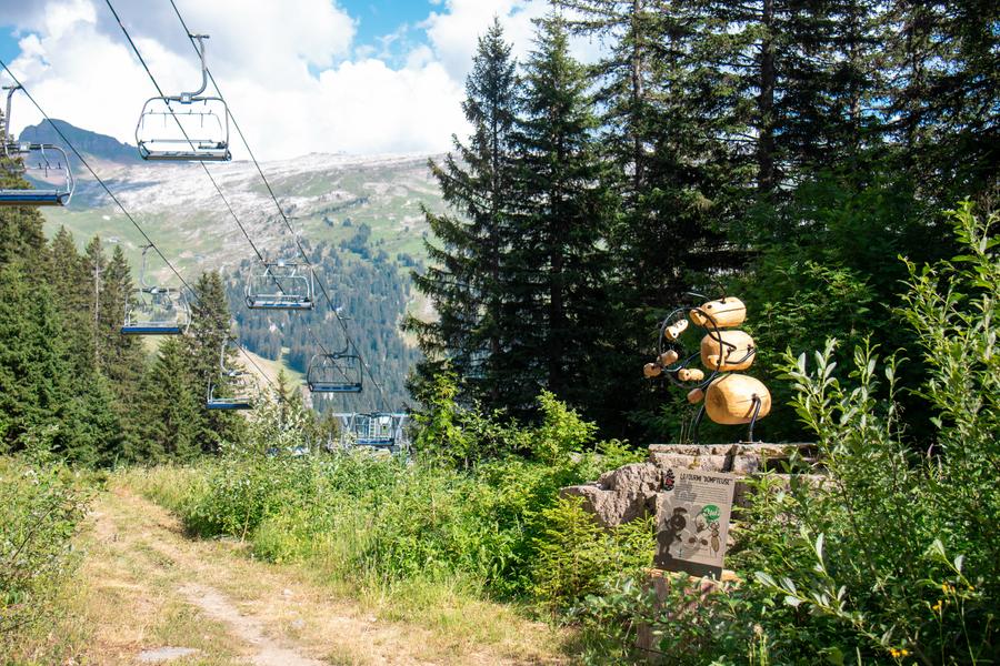 Le sentier des Fourmis