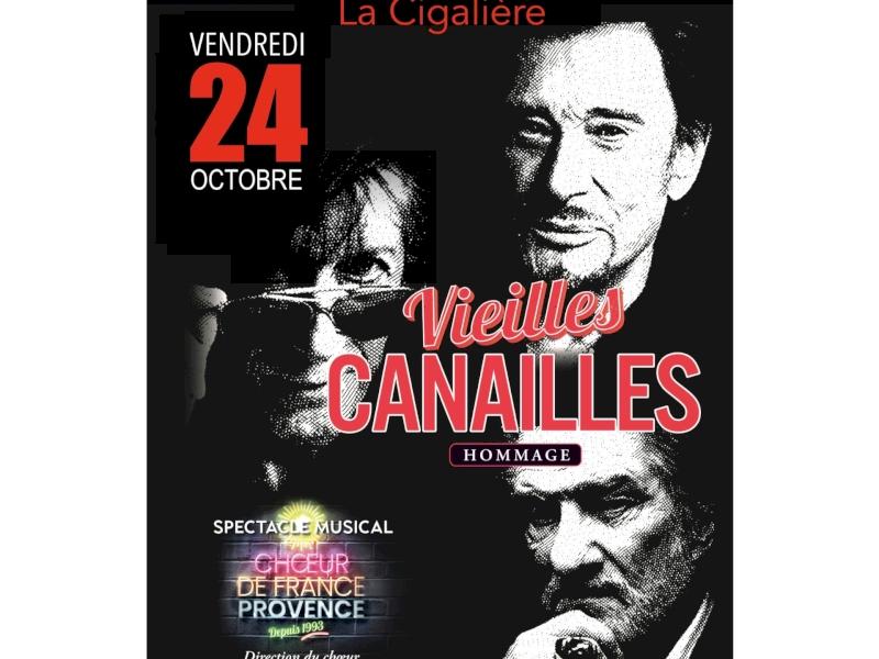 Concert hommage "Vieilles canailles" par le coeur de France Provence_Bollène
