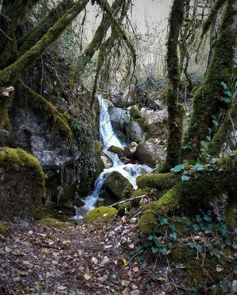 Circuit des cascades de la Magnine à Culoz