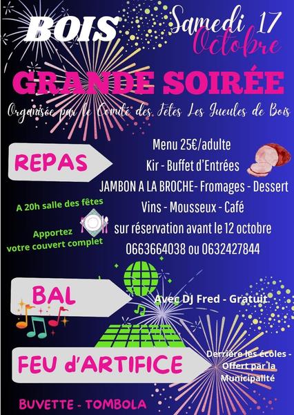 Grande soirée et feu d'artifice
