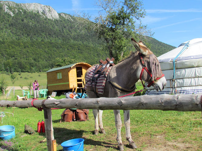 BIVOUAC LES GABRIELS - PHOTO 2
