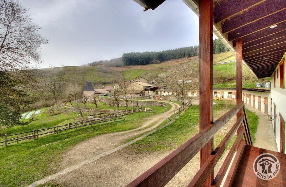 Grand Gîte - 15 personnes - \