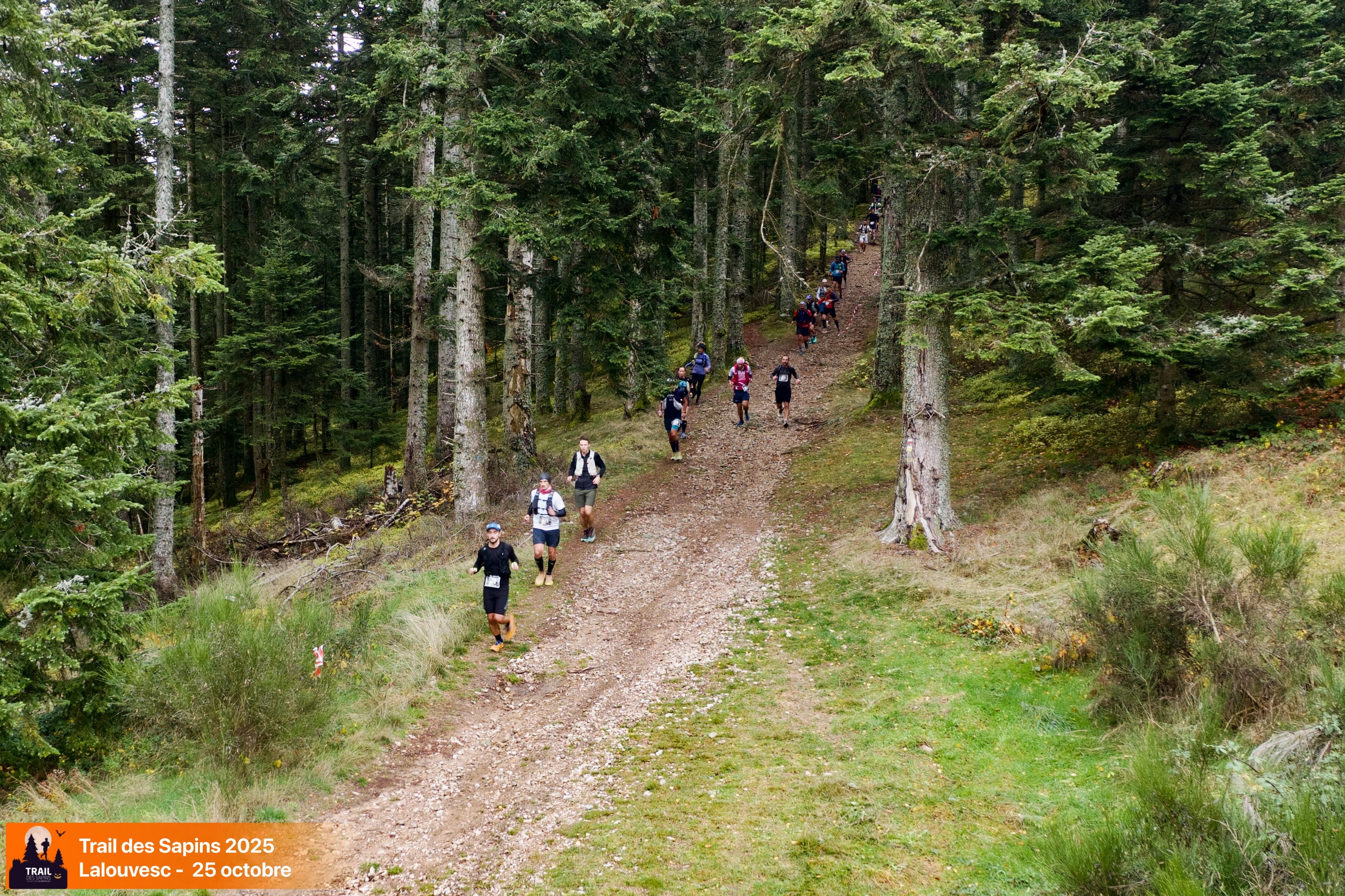 Trail des sapins semi-nocturne_Lalouvesc