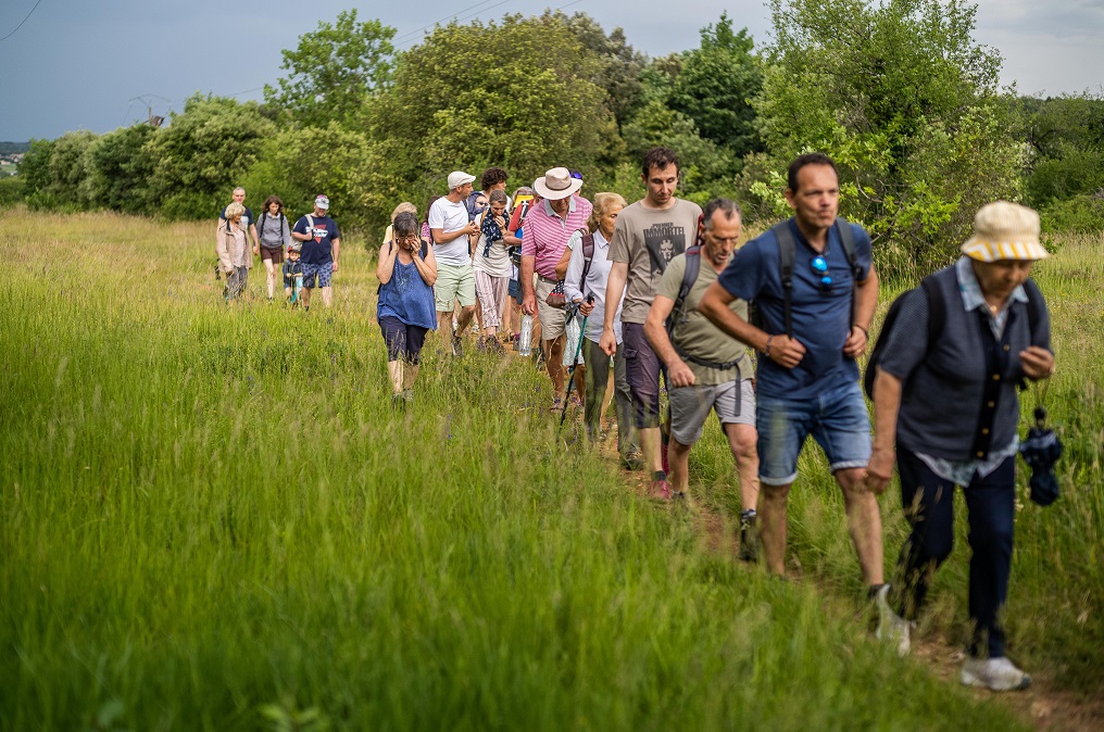 Balade Nature & Patrimoine - Les chaumes de Cothiers