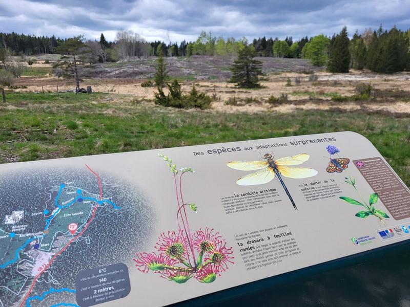 panneau sensibilisation tourbière burzet ©pnrma.jpg