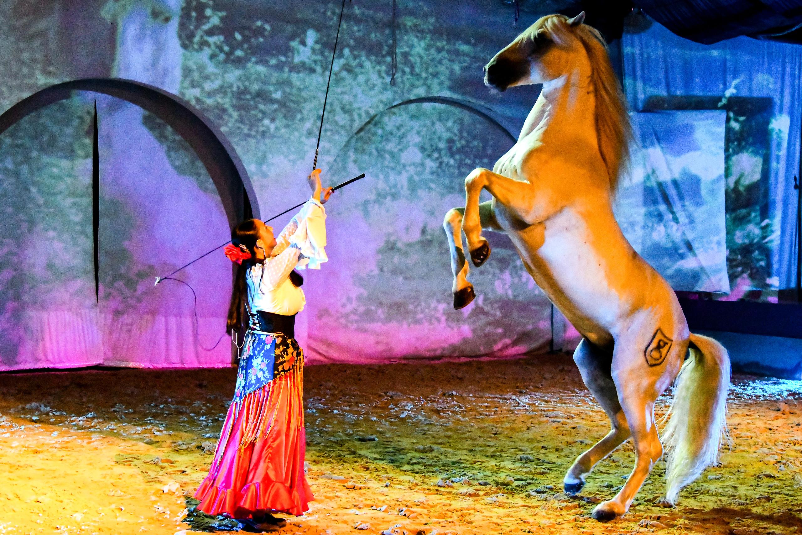 Réveillon de la Saint-Sylvestre en Camargue - Dîner Spectacle