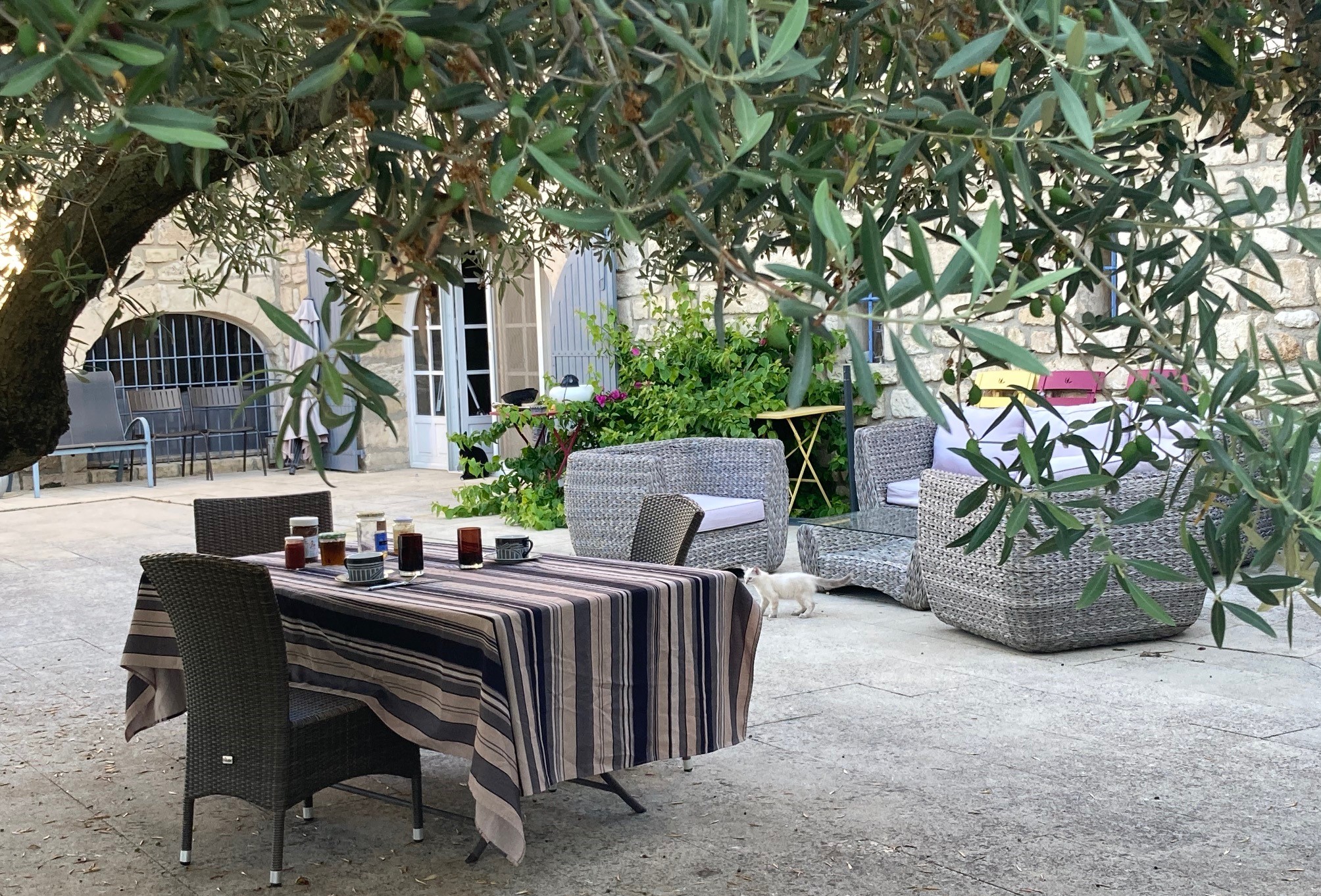 Mas des Oliviers, Arles - photo 13