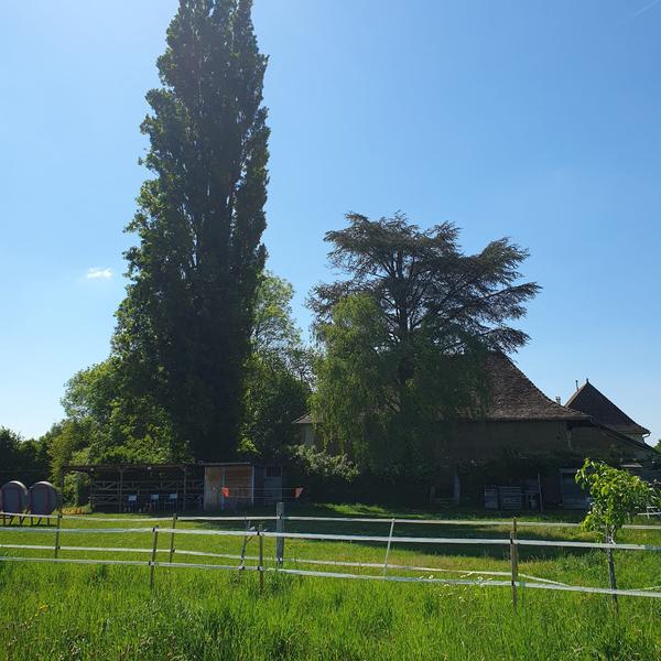 WhatsApp Image 2025-05-03 à 19.27.48_ec14111d.jpg