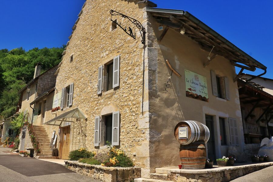 Marais de Lavours et vignobles du Bugey