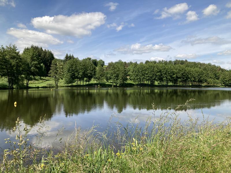 Sentier piétonnier Chazelles-sur-Lyon / Saint-Symphorien-sur-Coise par Hurongues_Chazelles-sur-Lyon