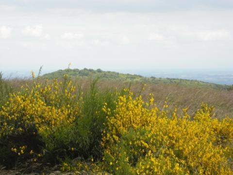 Balade Commentée des Landes du Haut Beaujolais