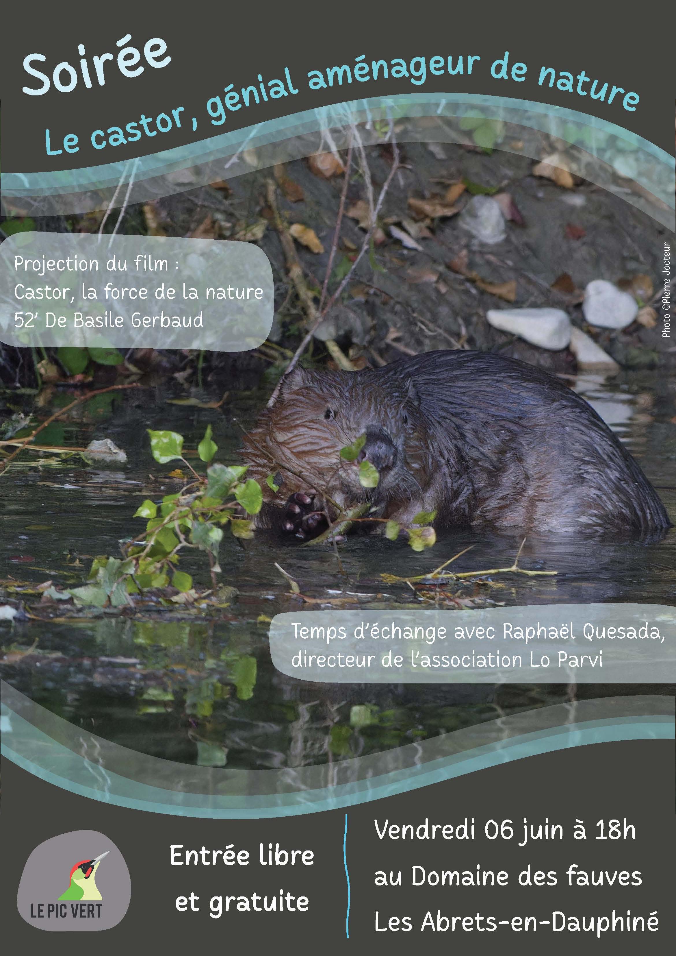 Affiche de la soirée "Castor, génial aménageur de nature"