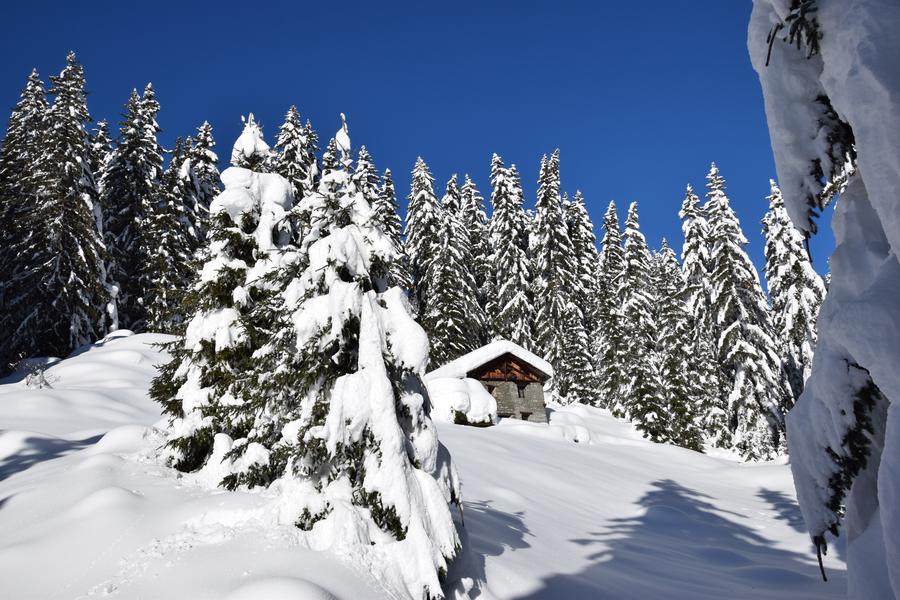 Balade à raquettes - Boucle du bief_La Plagne Tarentaise