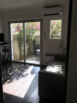 Le Minami (Chasse Samuel)