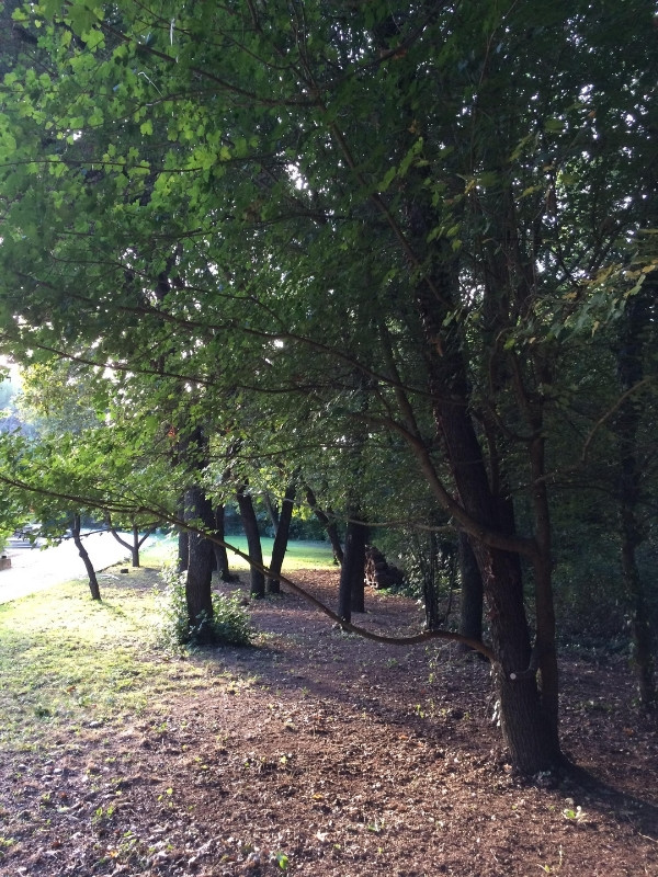 Les Chênes, Le Tholonet - photo 5