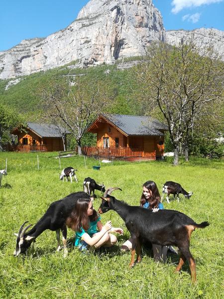 DEUX CHALETS en pleine Nature !