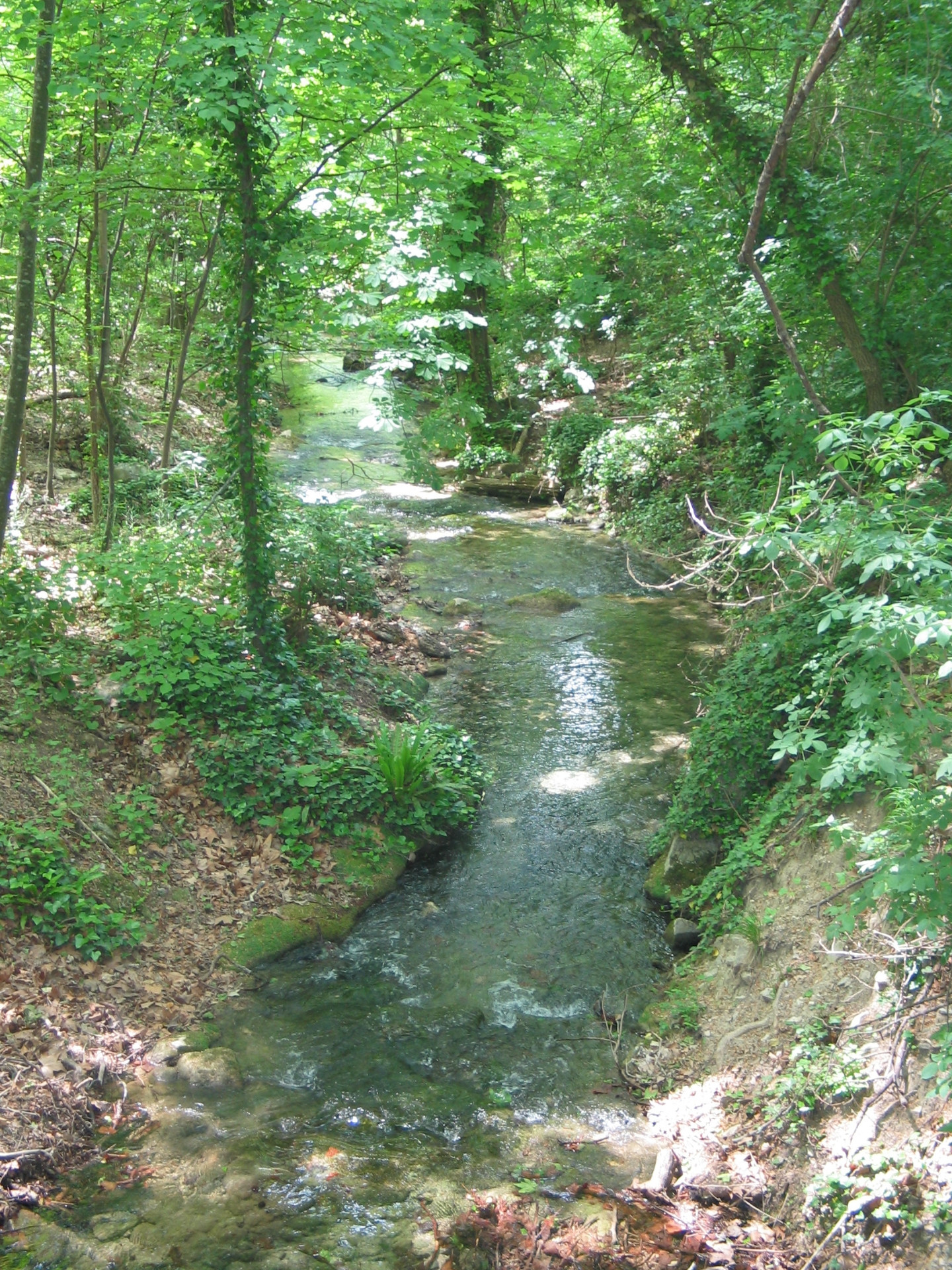 Parc Départemental de Saint Pons