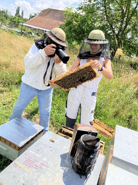 Miellerie des Balcons - Corbelin - Balcons du Dauphiné