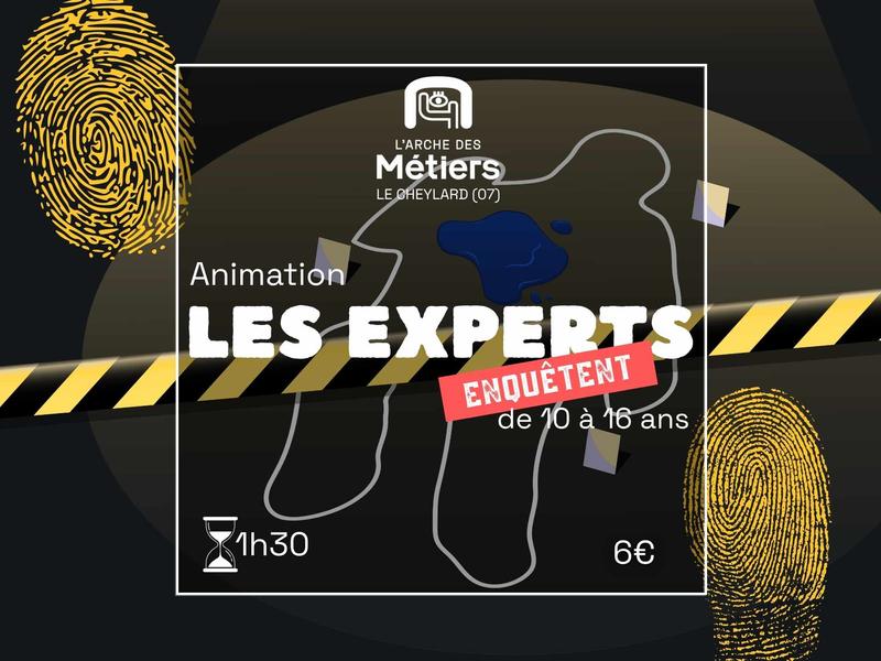 Les experts enquêtent