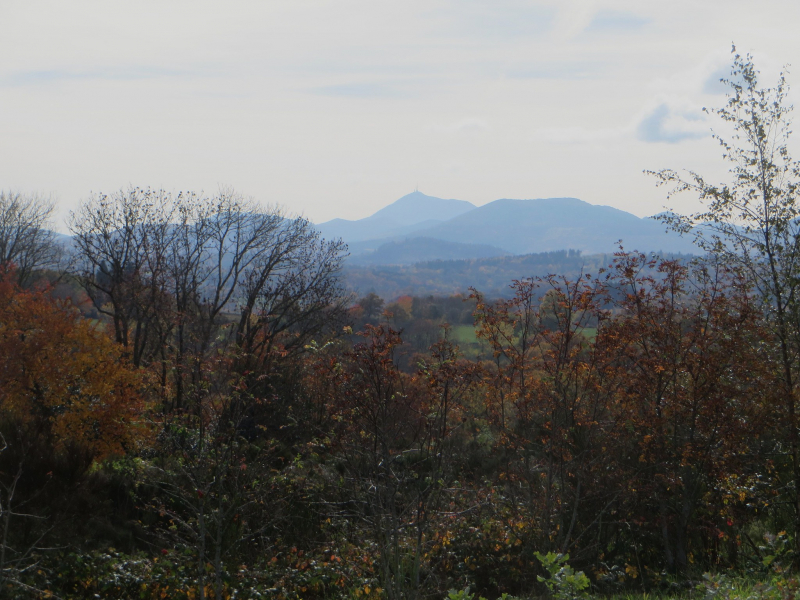 La Forêt puydômoise d’hier, d’aujourd’hui et de demain