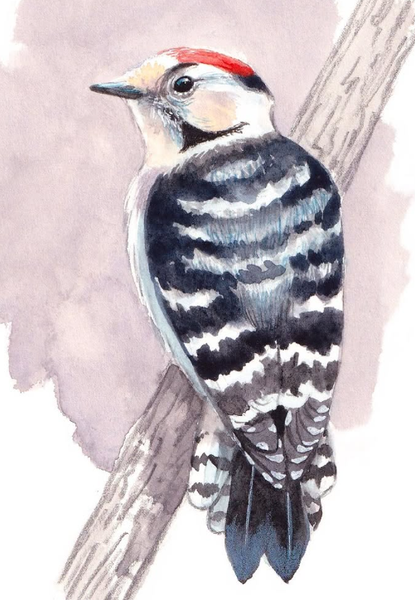 Exposition à la Maison Ravier : Mélanie Dunand, en résidence d'artiste_Morestel