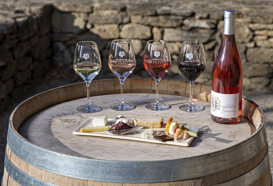 Visite de la Cave et Dégustation des vins en accord avec des fromages - Grignan