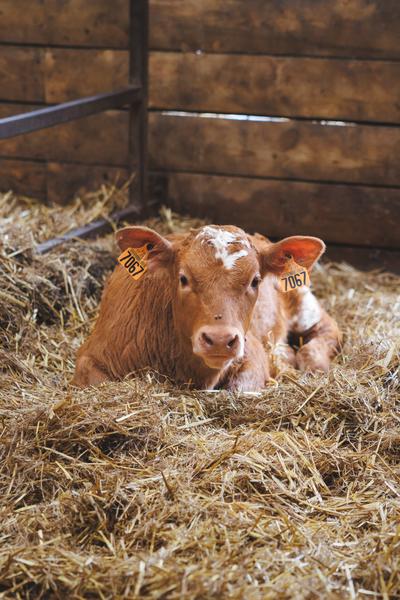 La Ferme des Granges