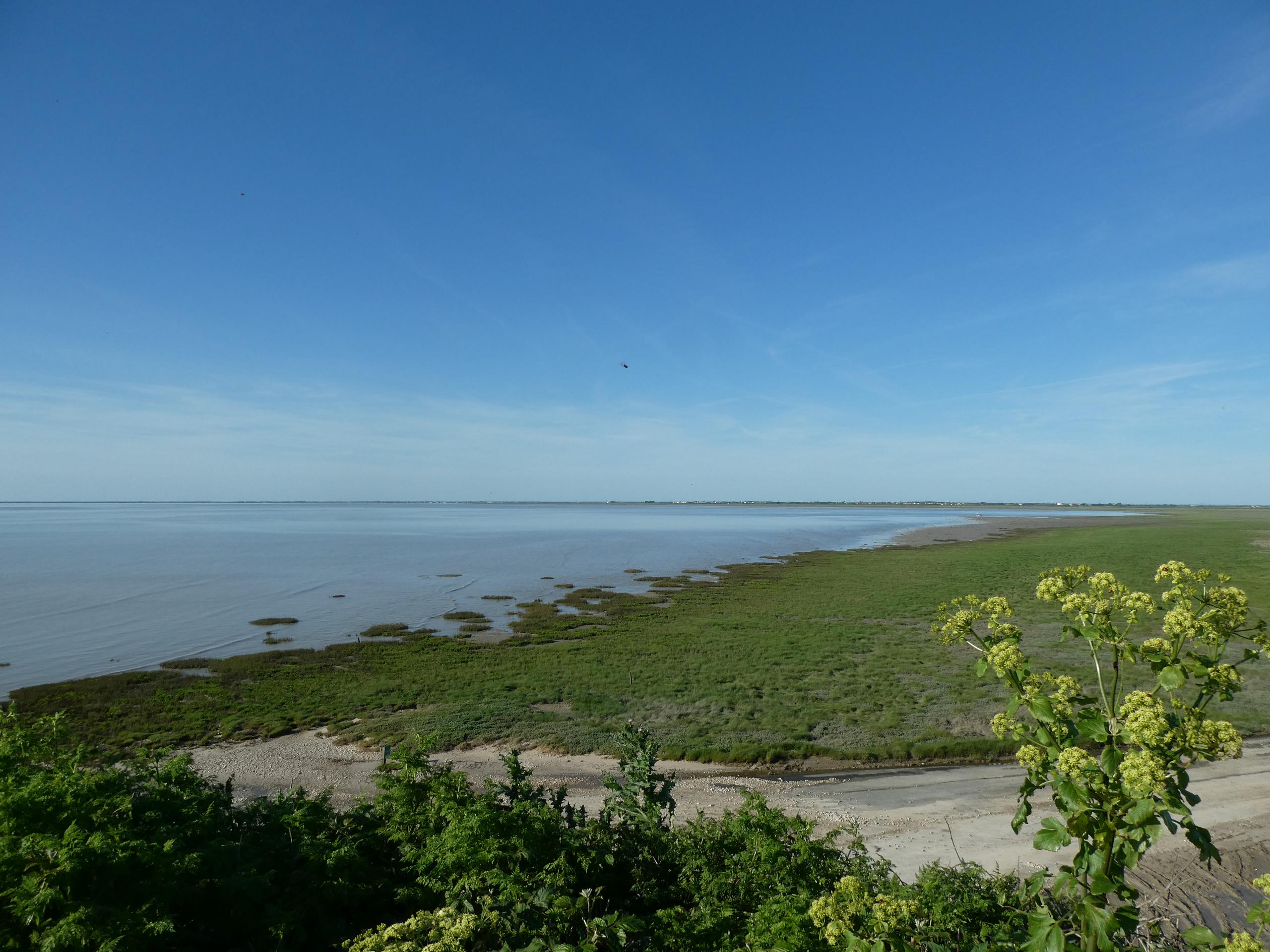 Animation - La baie au fil des saisons - Septembre