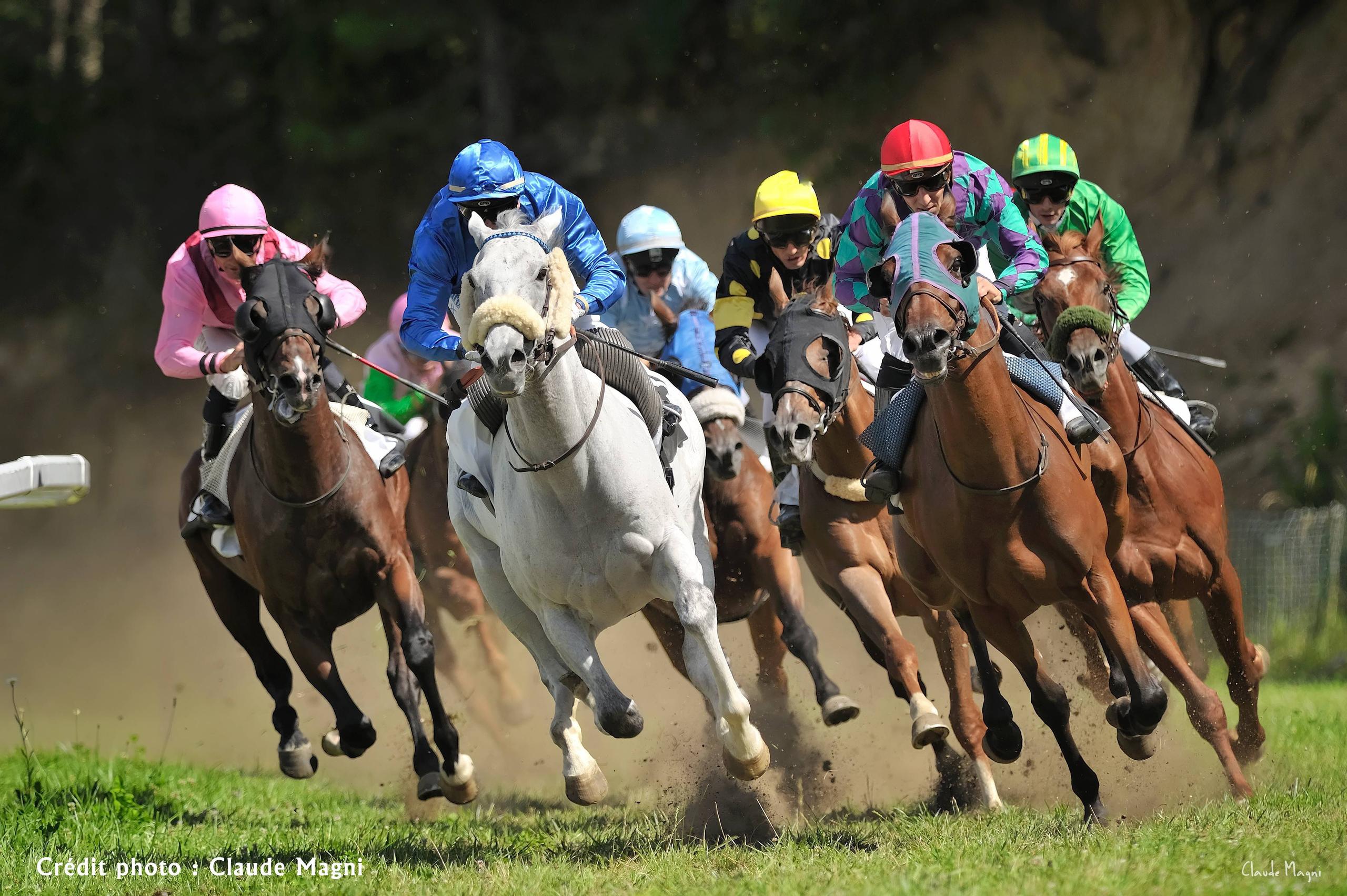 Courses hippiques - Jarnac