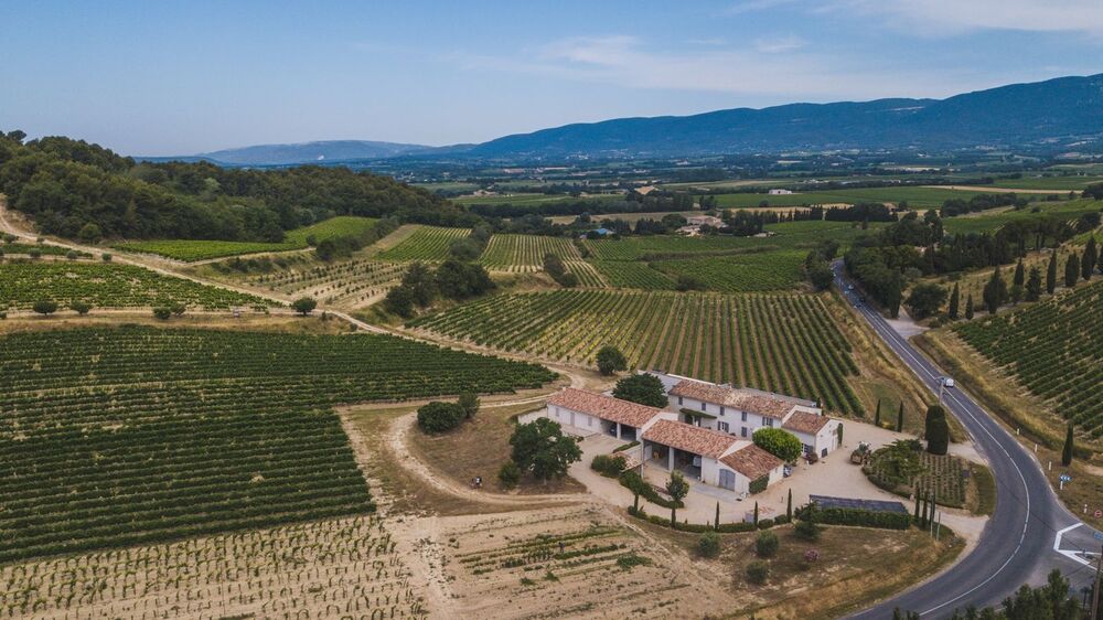 Domaine des Marchands - le Domaine