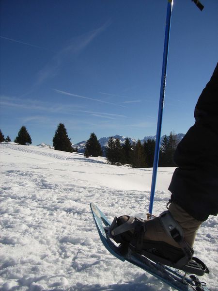 Raquette BAM Morzine