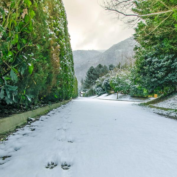 Allée camping - Camping l'Imprévu