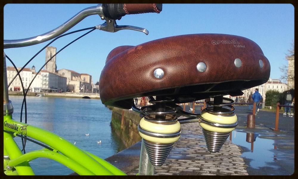 Zoom sur une selle.