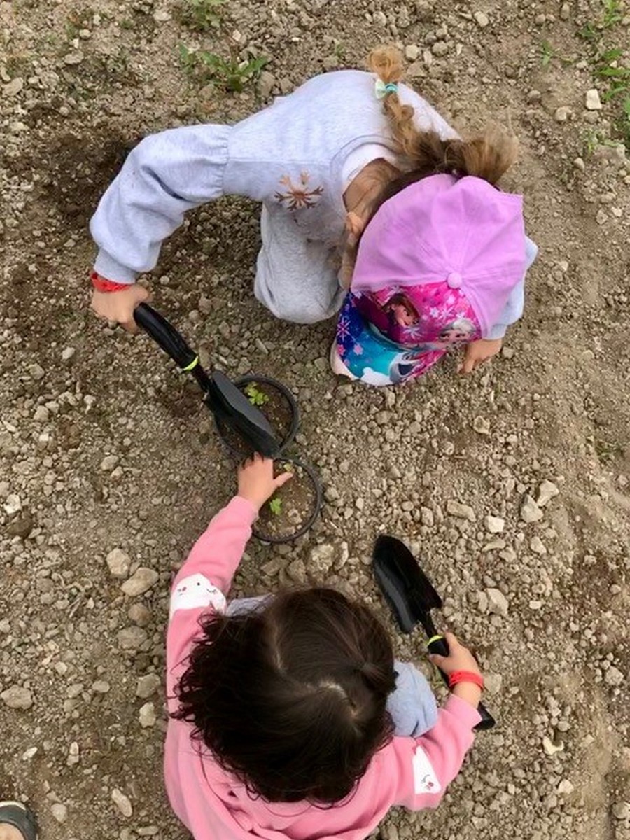 La petite ferme pédagogique de Saint-Rémy
