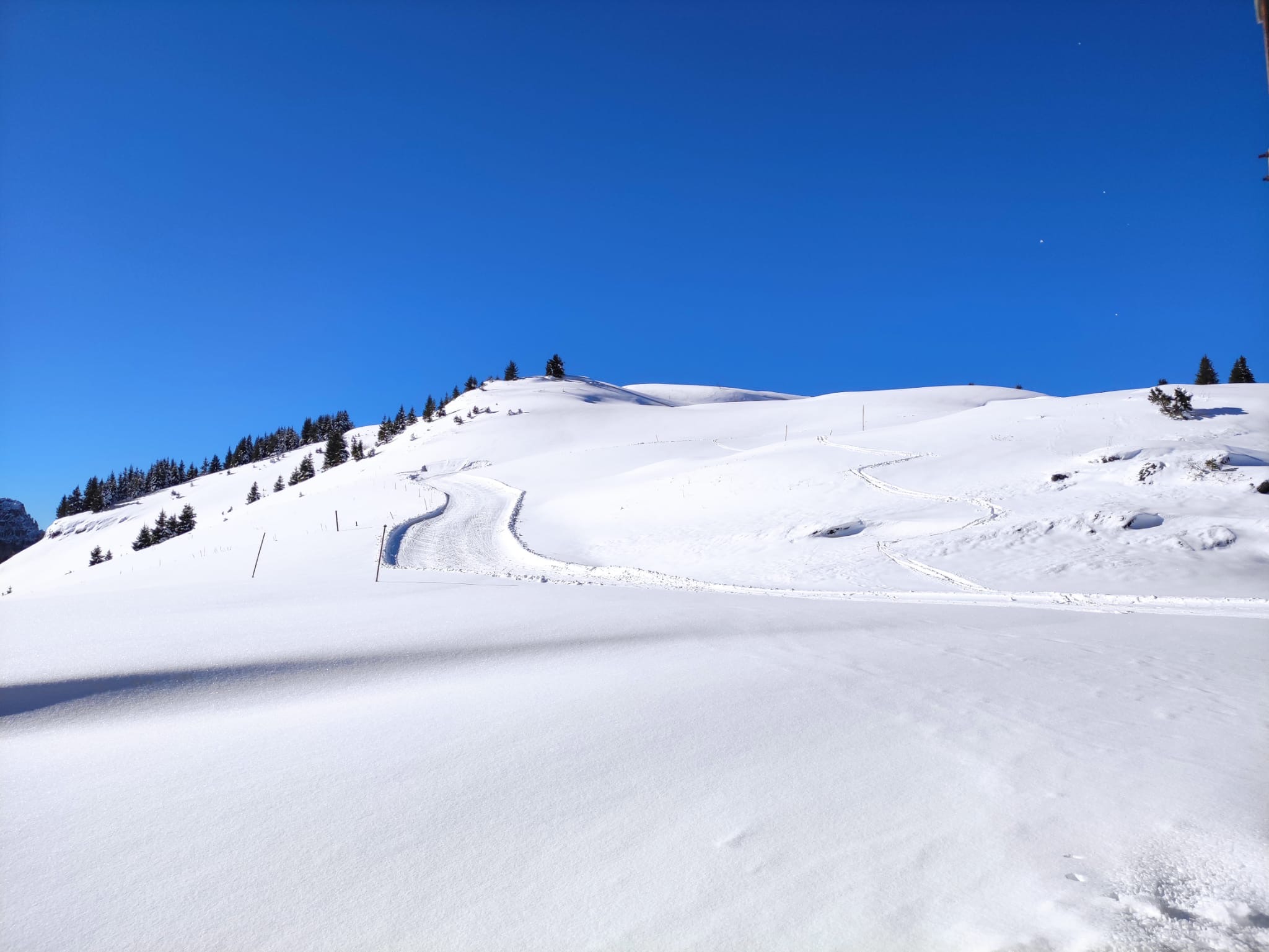 Red Nordic ski trail