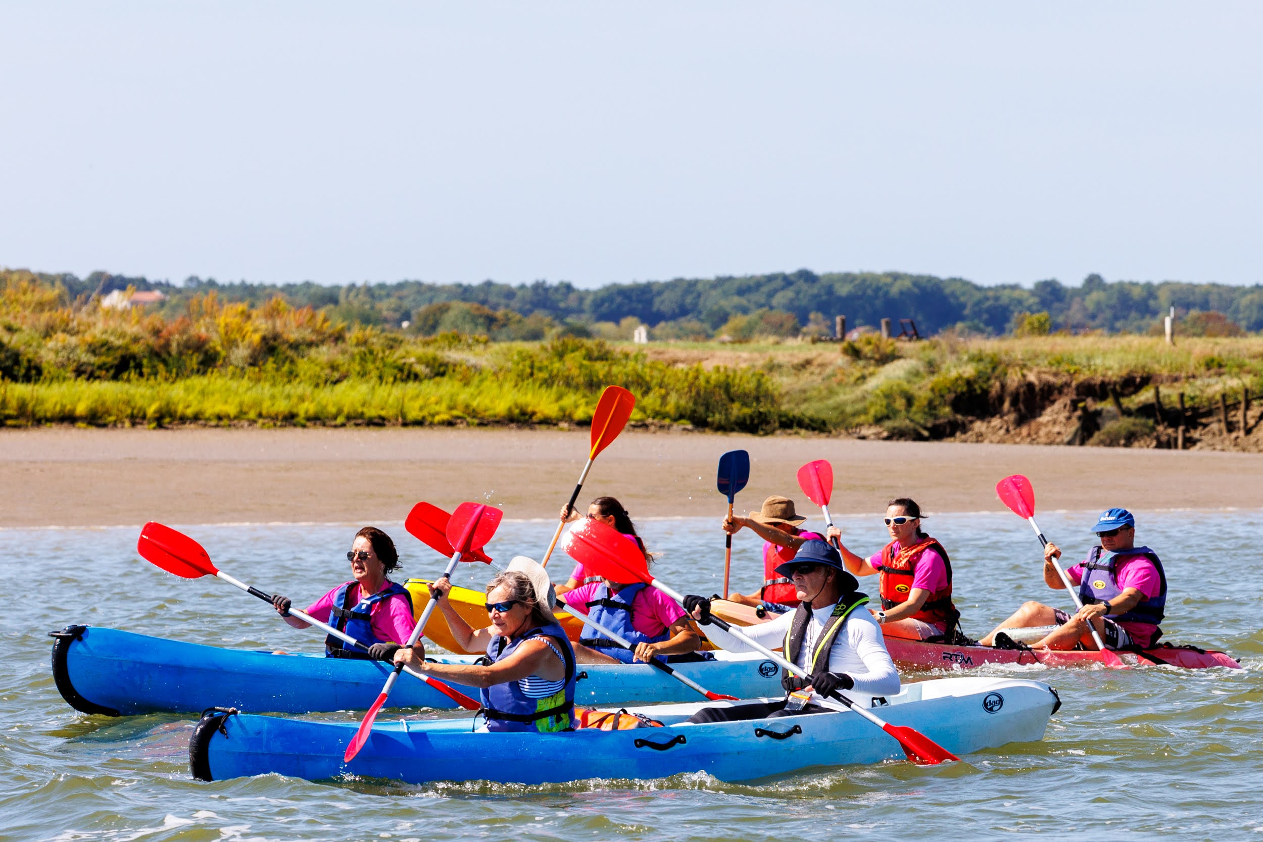 Remontée de la Seudre 2026 - Randonnée Kayak