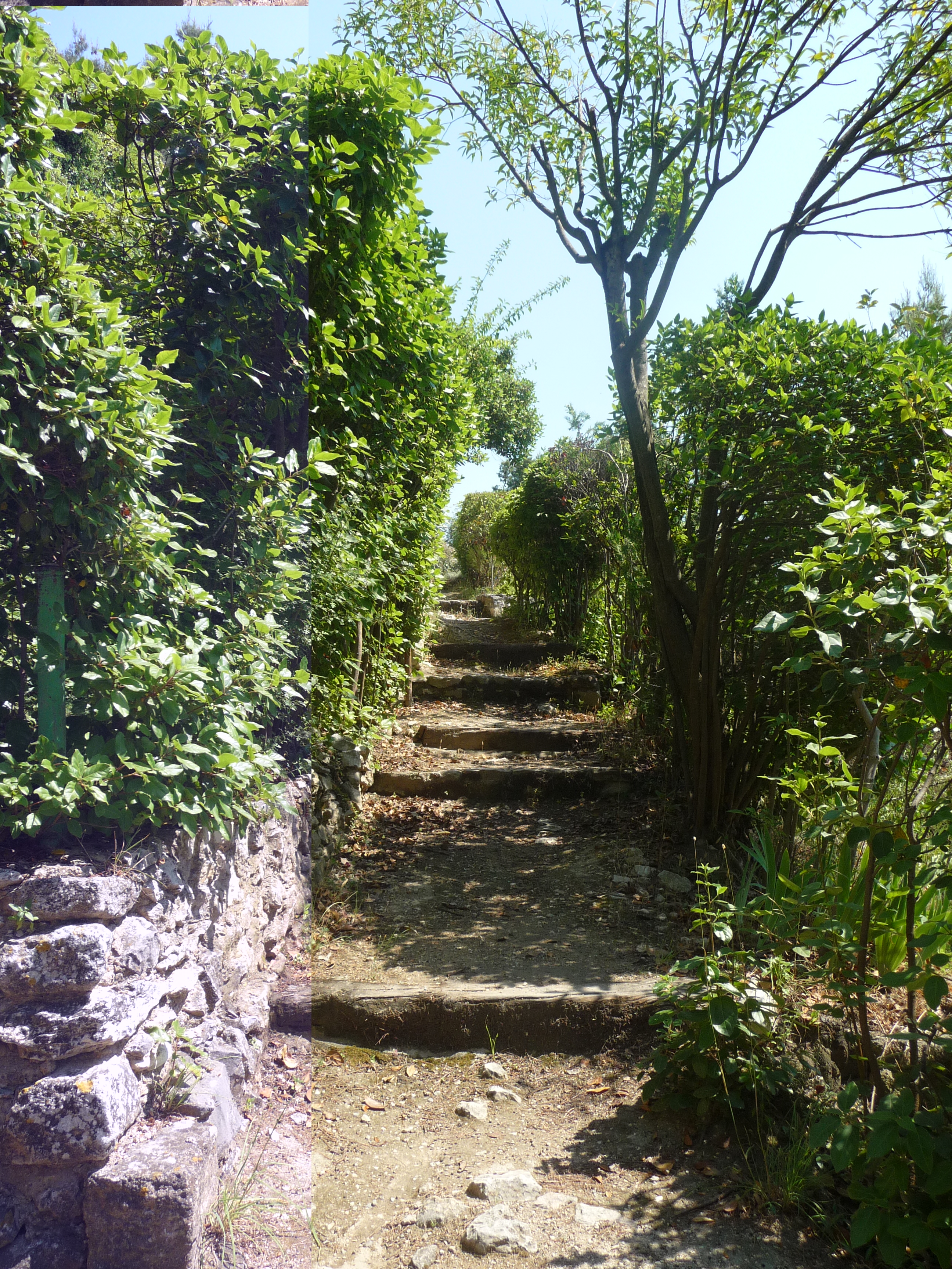 Le Parc des Tours