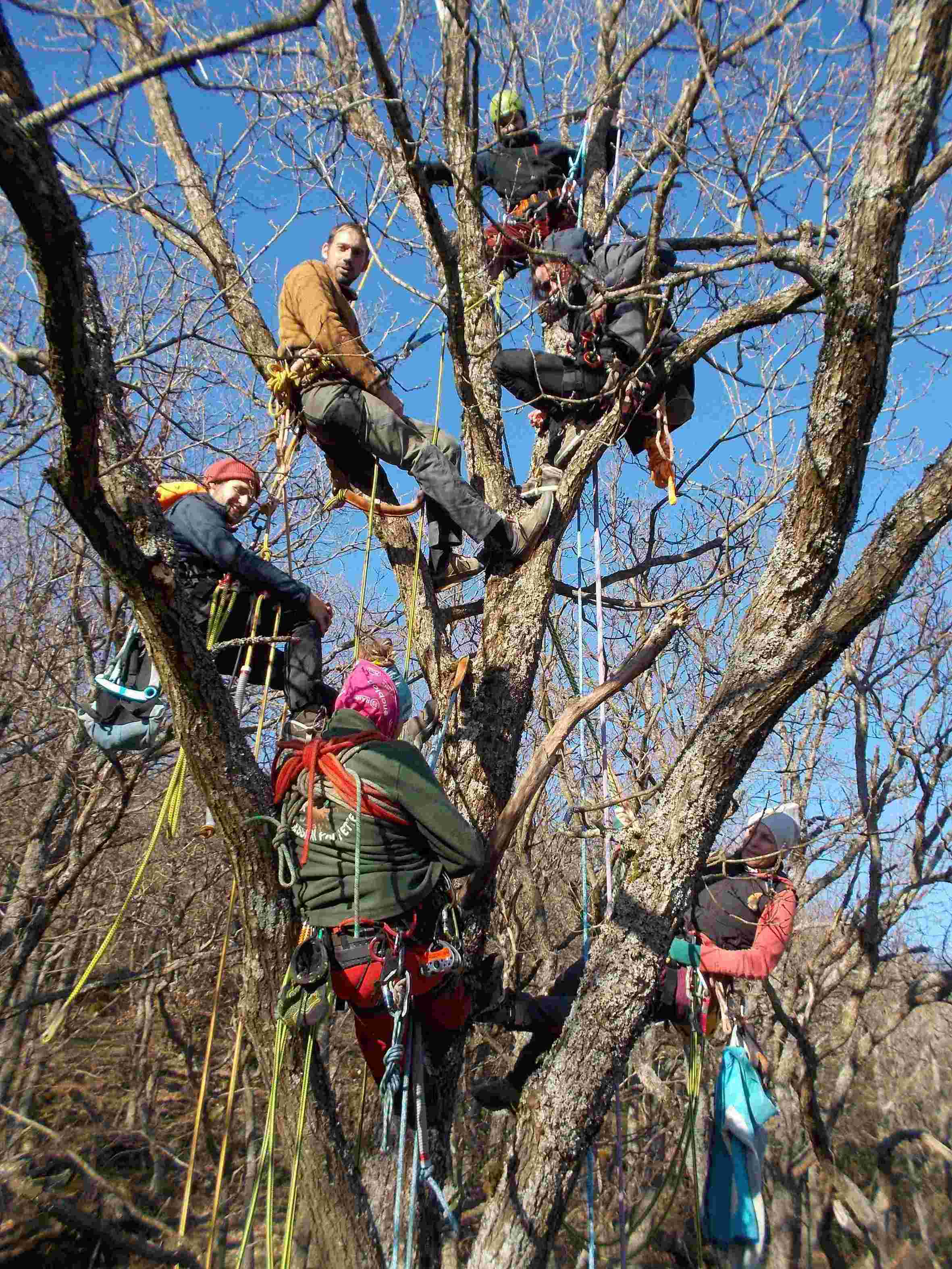 Accrobranche en terrain d'aventure - Grimpe d'arbres_Davézieux