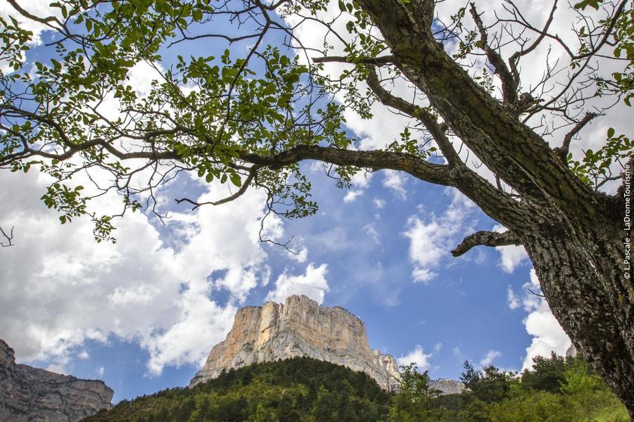 Le sentier des vautours d'Archiane