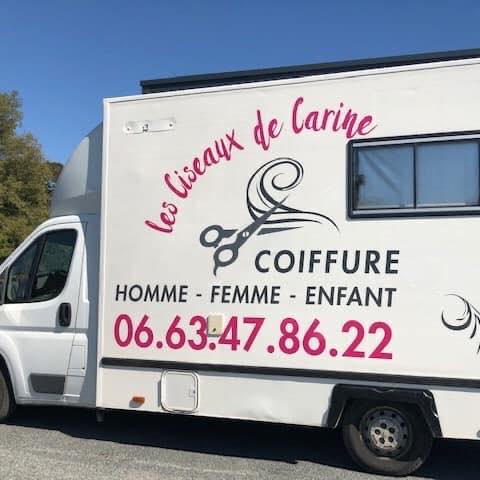 Les Ciseaux de Carine