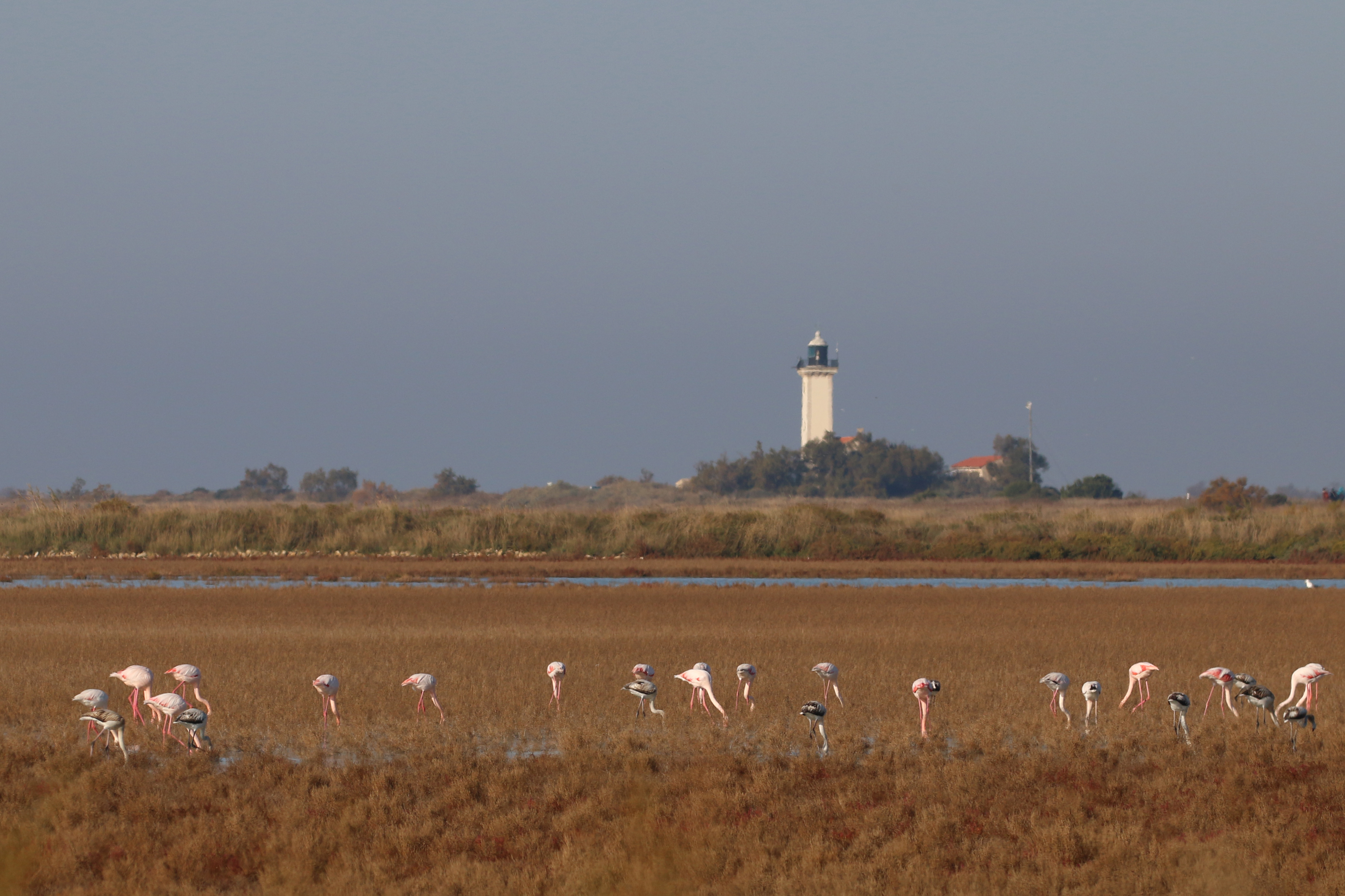 Le phare de la Gacholle et la digue à la mer
