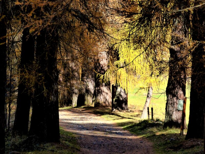 Sentier muséo du palais de la mine