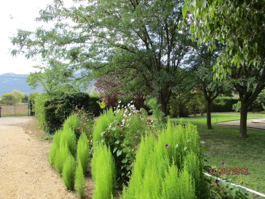 Le Figuier, Gémenos - photo 2