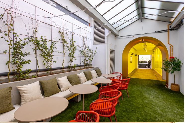 Dame Jeanne - photo 4