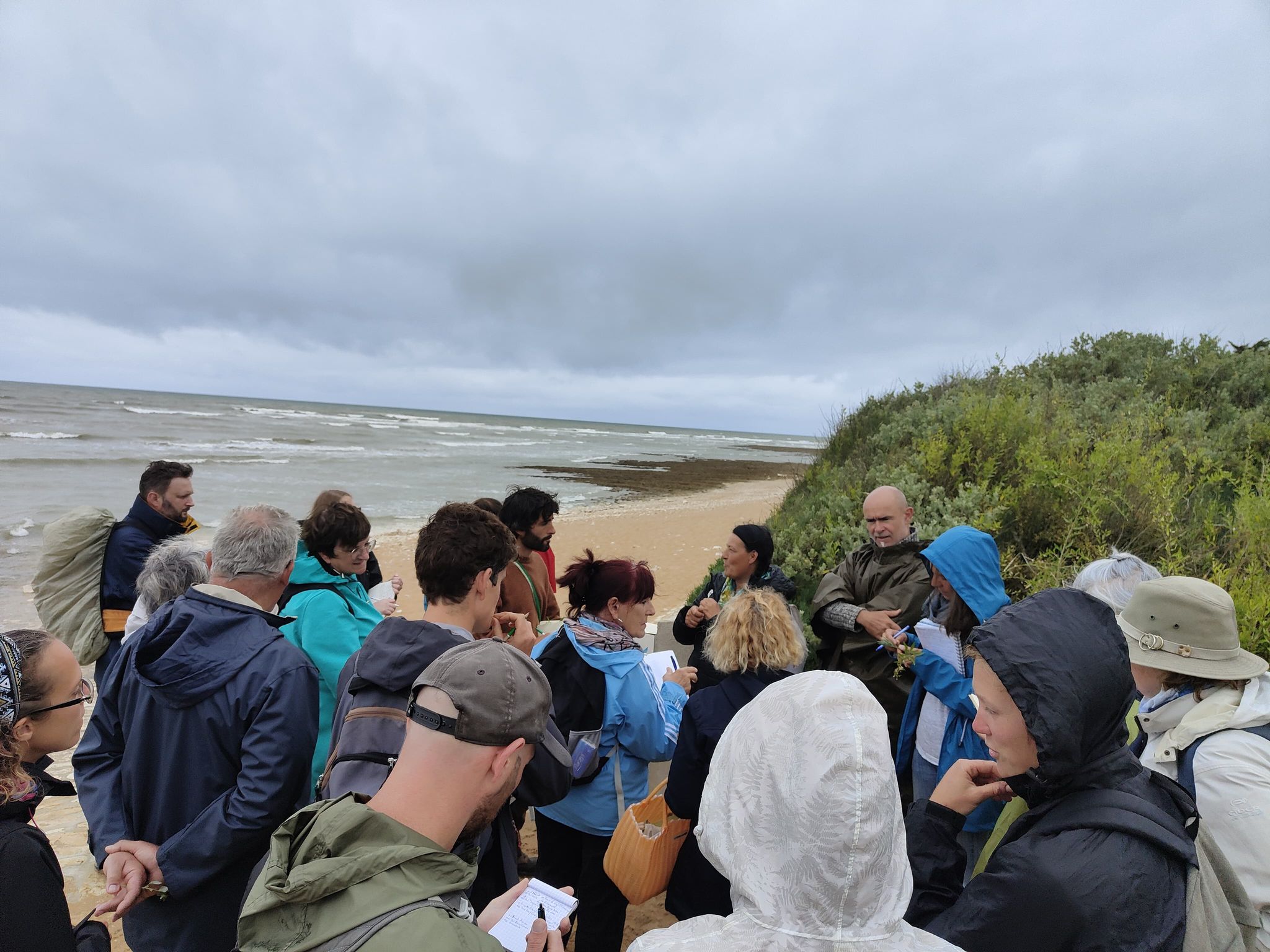 Sortie découverte des plantes sauvages de l’île d’Oléron