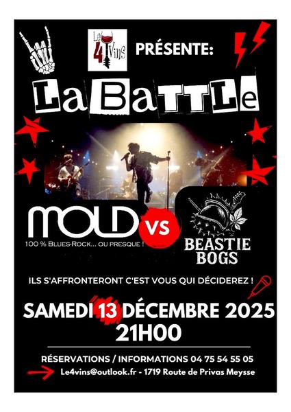 Concert/Battle MOLD VS BEASTIE BOGS